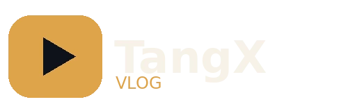 糖心vlog